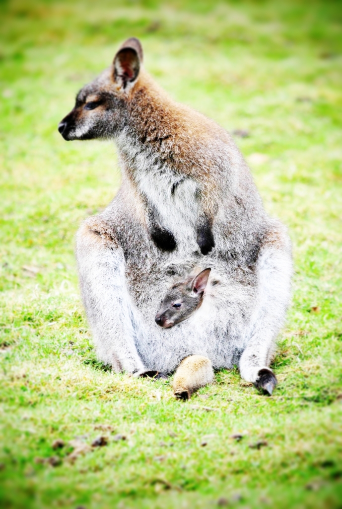 londra con i bambini