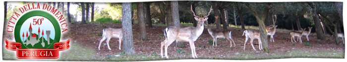 citta_della_domenica