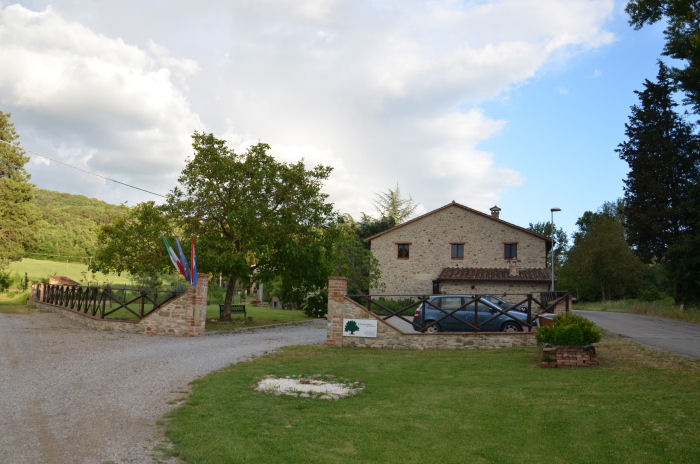 il_piccolo_noce_1
